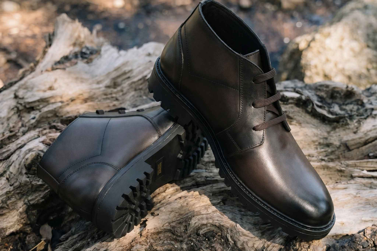 Livingstone: Chukka Boot