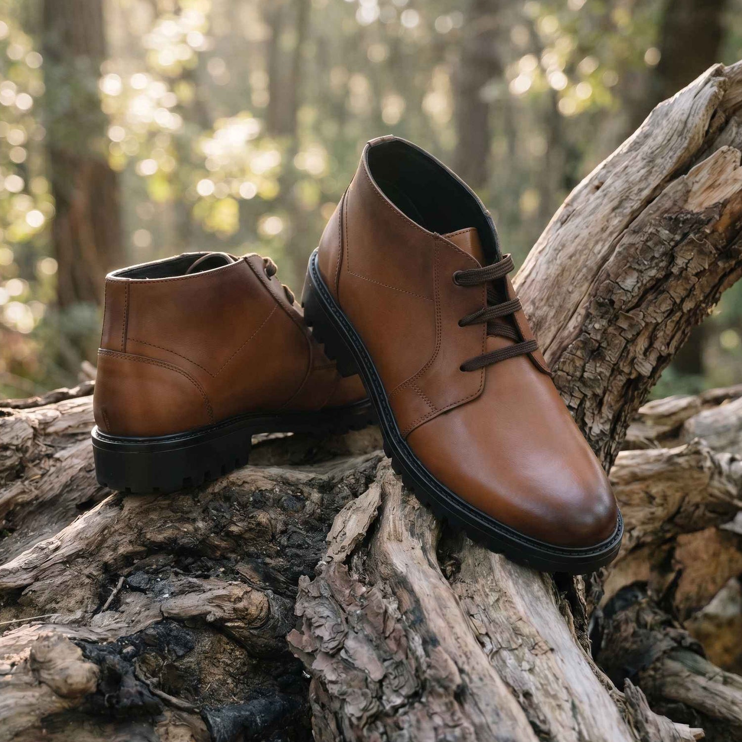 Livingstone: Chukka Boot