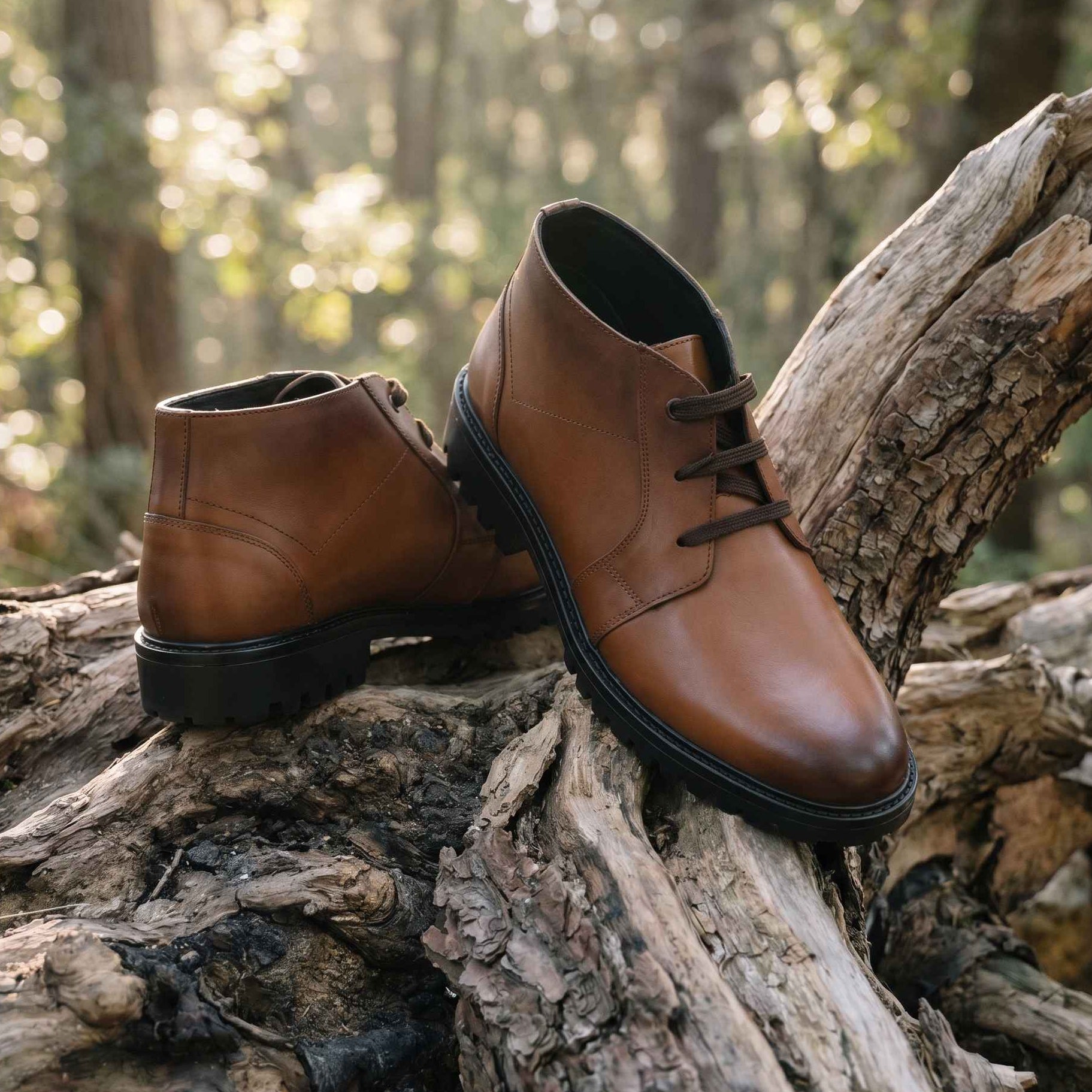 Livingstone: Chukka Boot